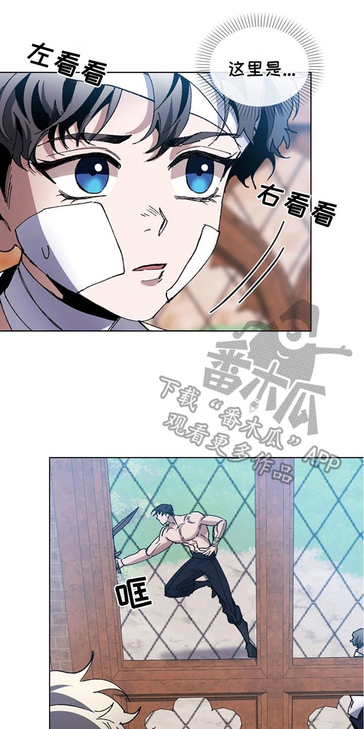 权利的背后漫画,第19章：骑士团2图