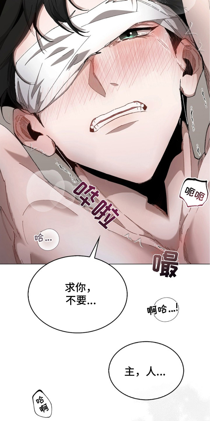 权力的代价报错漫画,第11章：服从4图