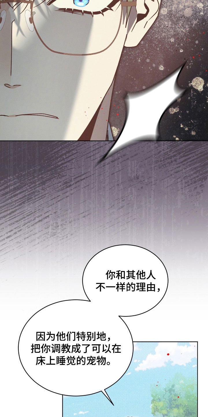 第38章：弱点2