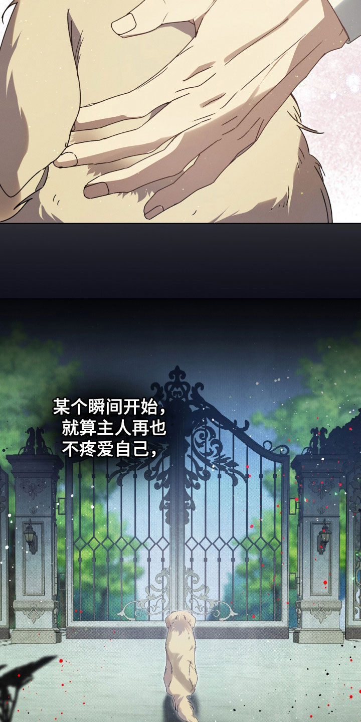 第38章：弱点1