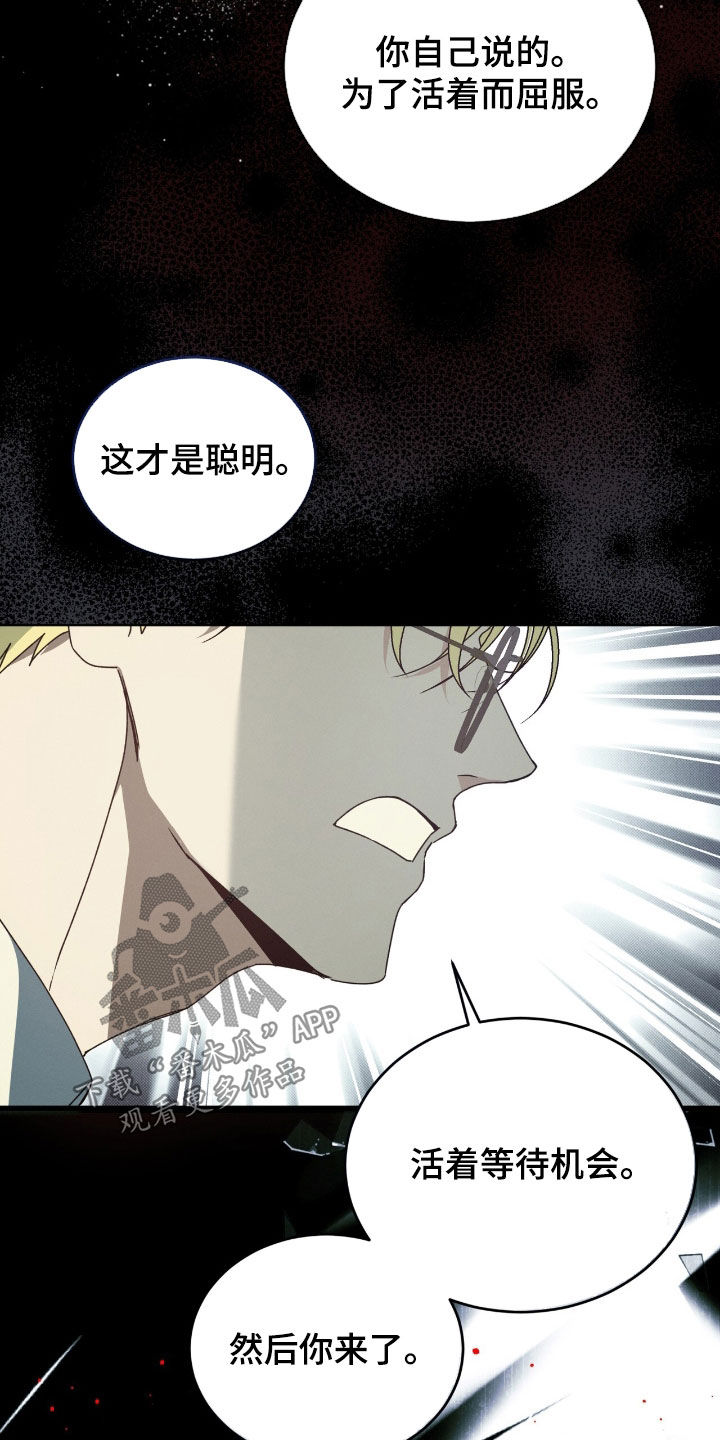 第32章：等待机会2