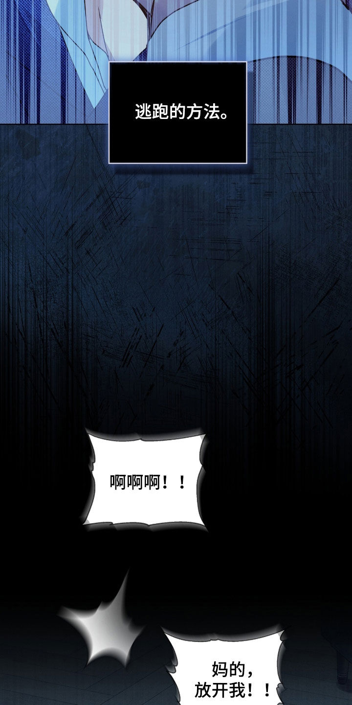 第54章：陷阱0