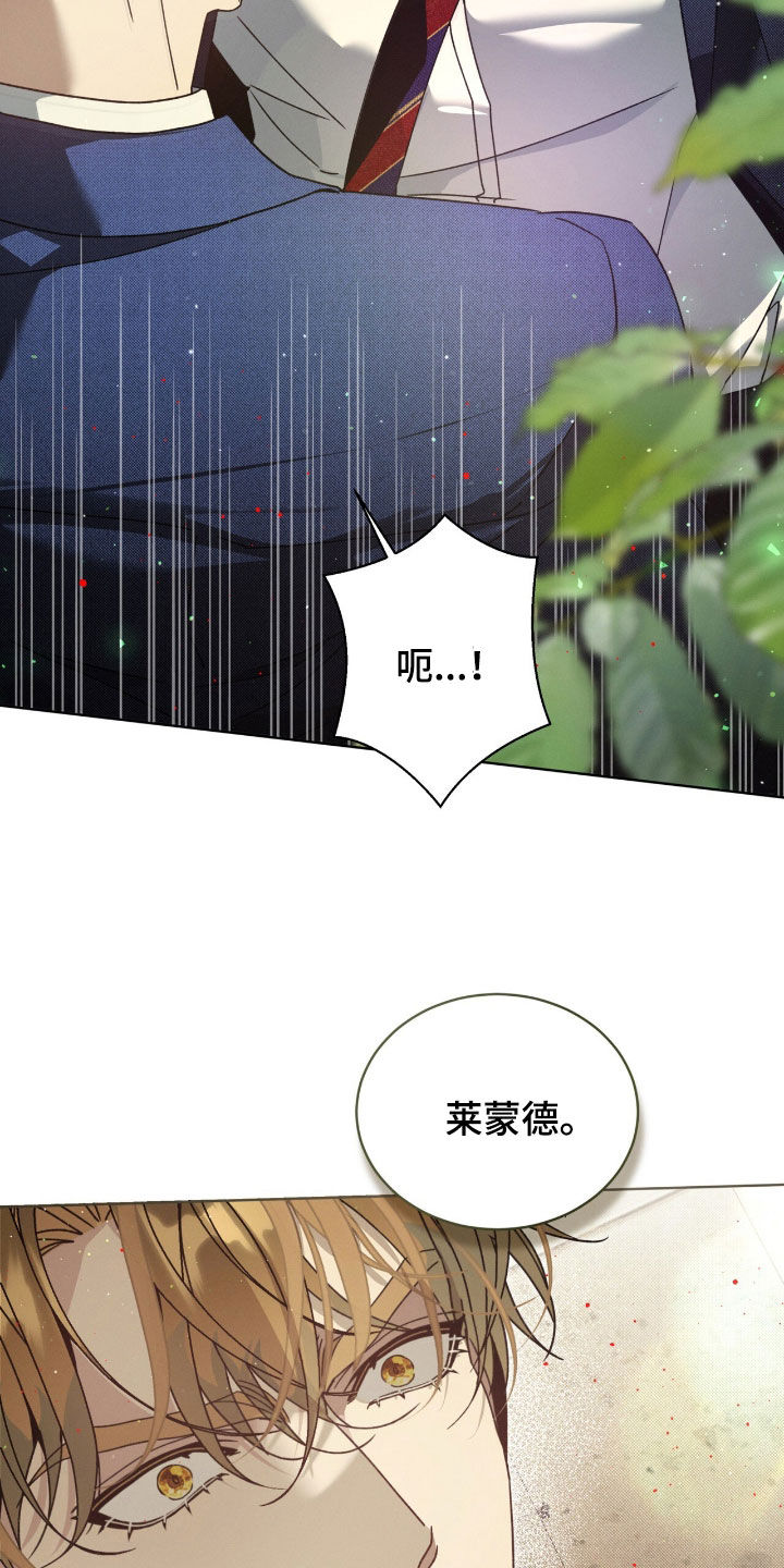 第50章：我爱你3