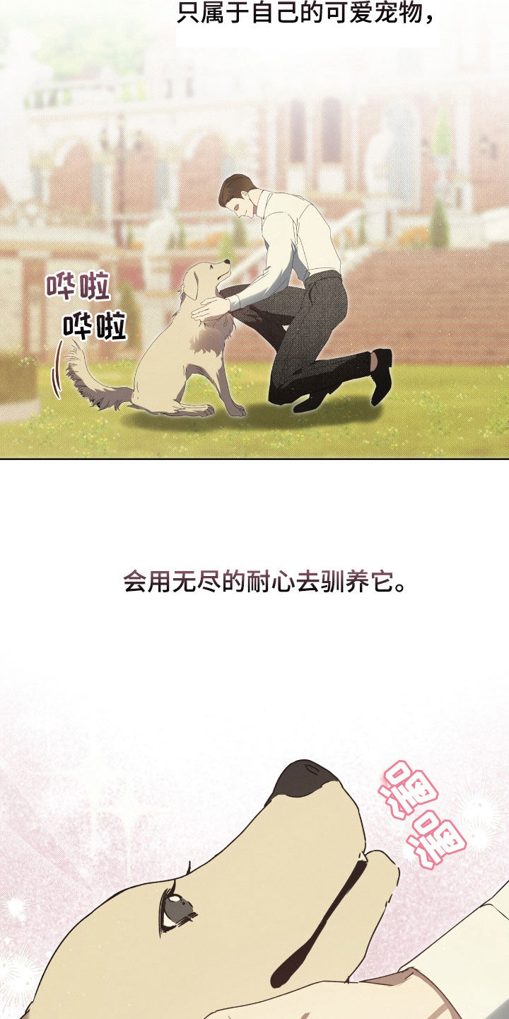 第38章：弱点0