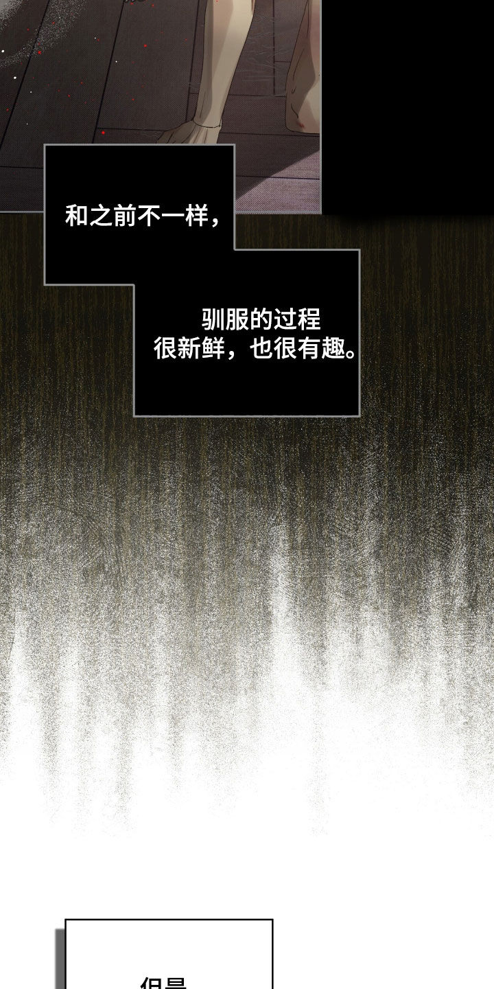 第38章：弱点4