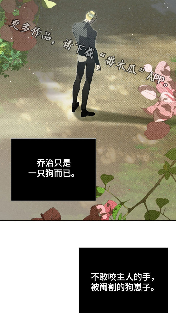 流放校园第二季漫画免费下拉式漫画漫画,第37章：只是一只狗4图