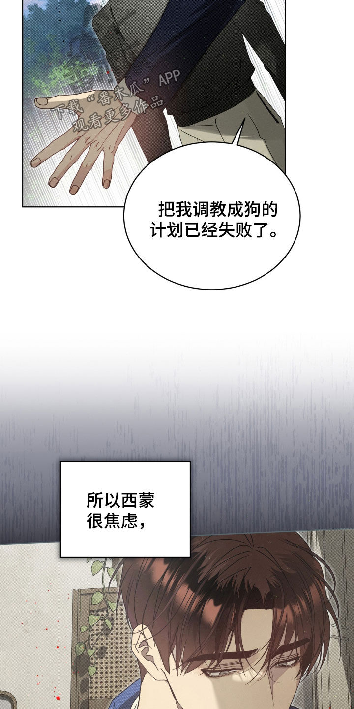 第38章：弱点4