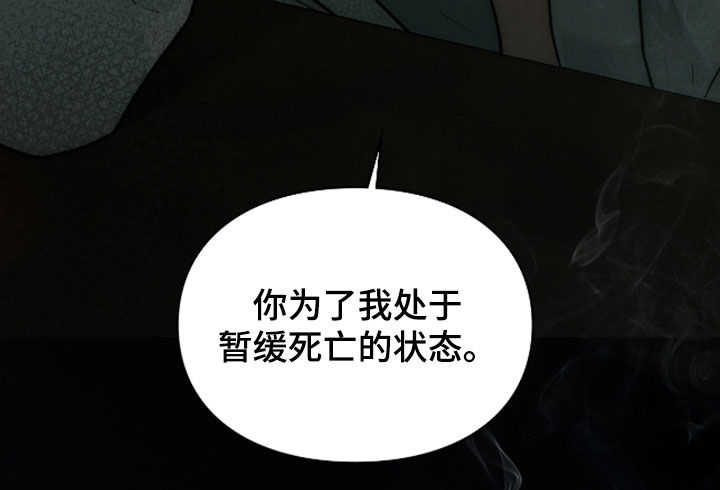 隔世追魂剧情介绍漫画,第34章：暂缓死亡4图