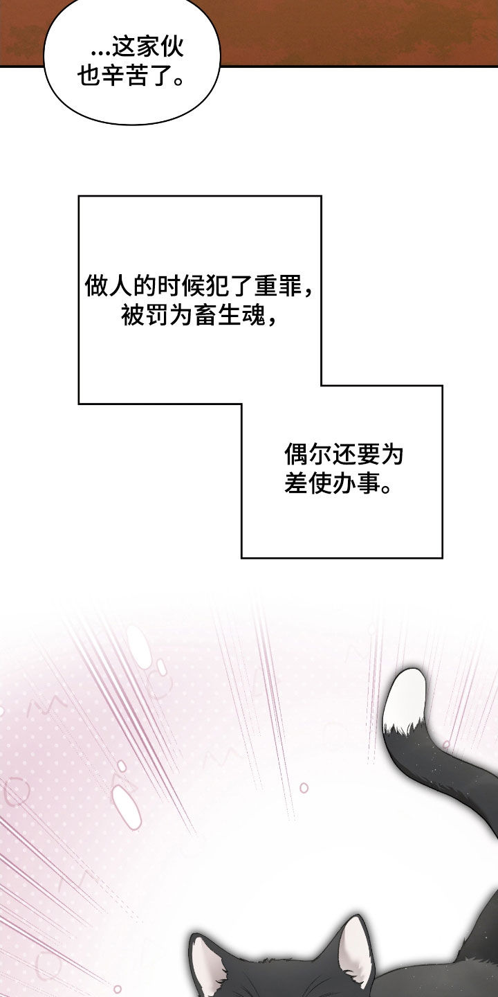 隔世契约小说漫画,第26章：一起进去1图