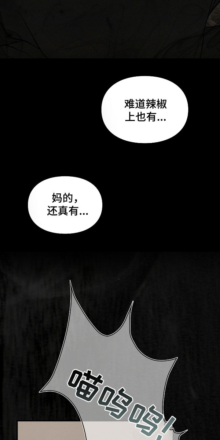 隔世契约蛙漫叫什么漫画,第20章：到底怎么回事4图