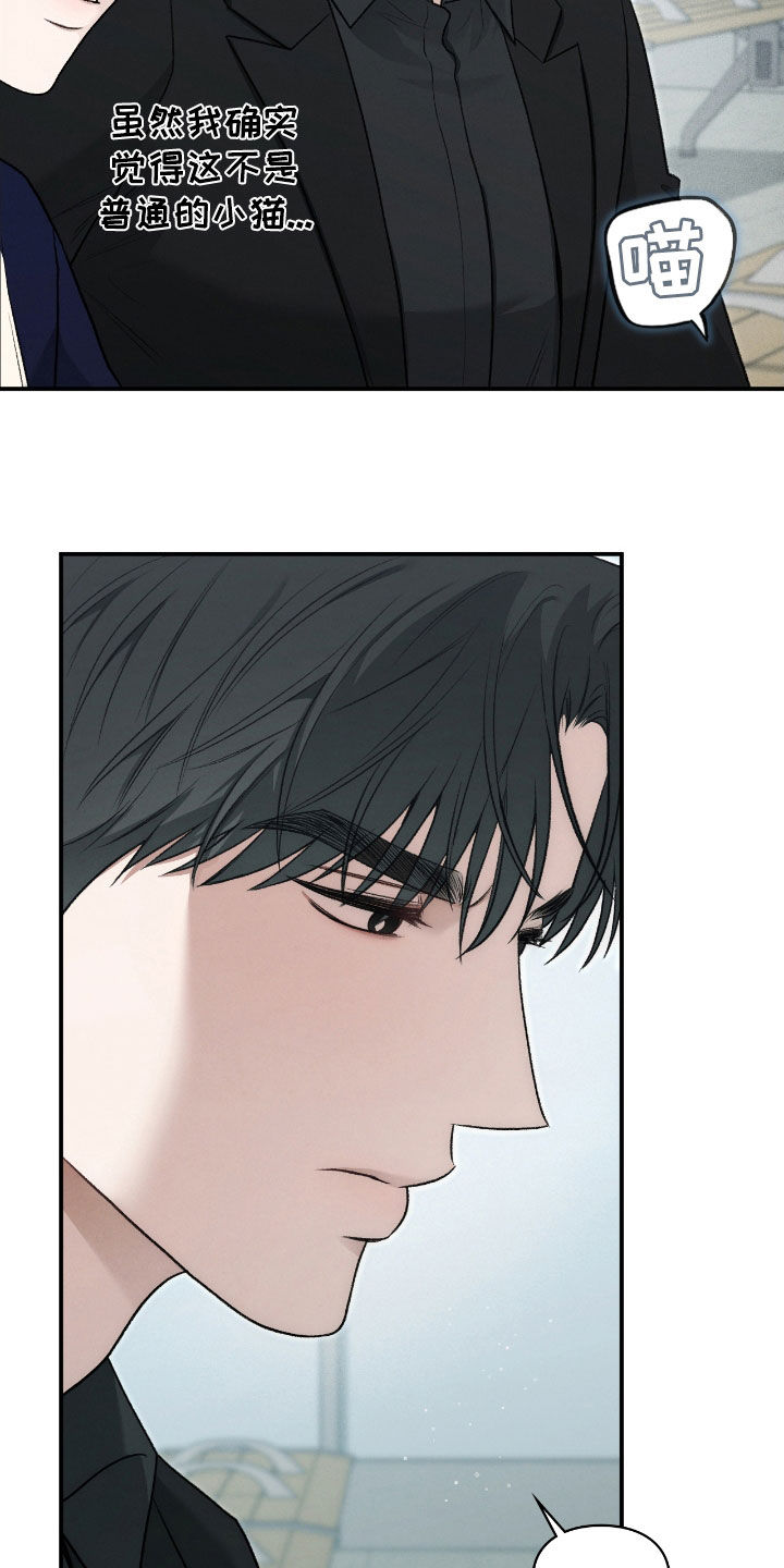 各施其职和各司其职漫画,第50章：不要相信我3图