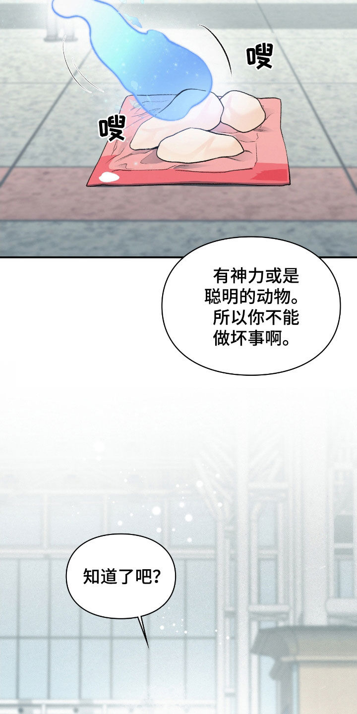 各是其是漫画,第21章：最后一次5图