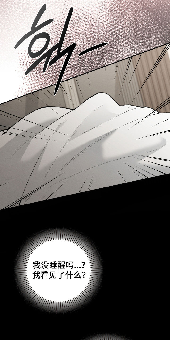 各施其法的意思漫画,第47章：幻觉4图