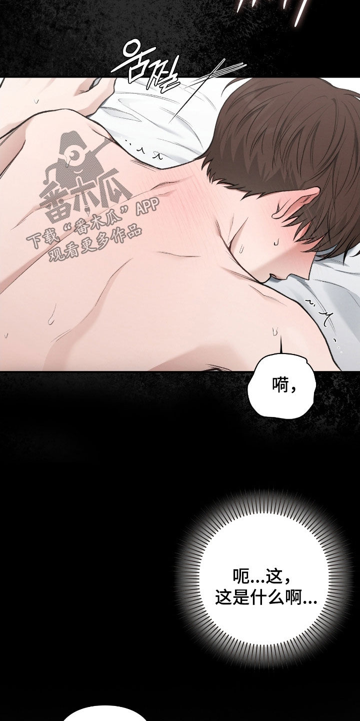 各施其职和各司其职漫画,第65章：记忆珠子5图