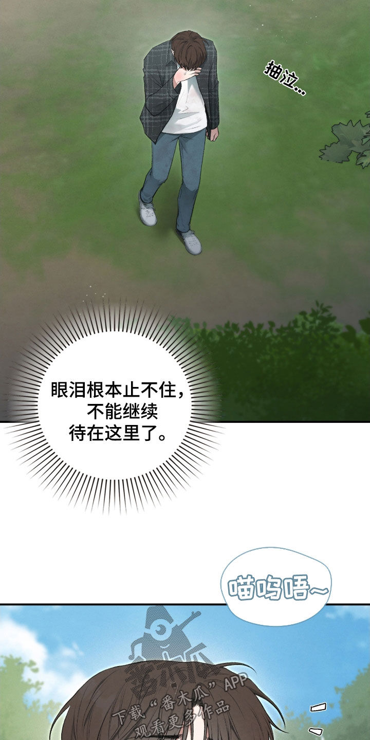 格式起诉状模板漫画,第39章：止不住眼泪3图