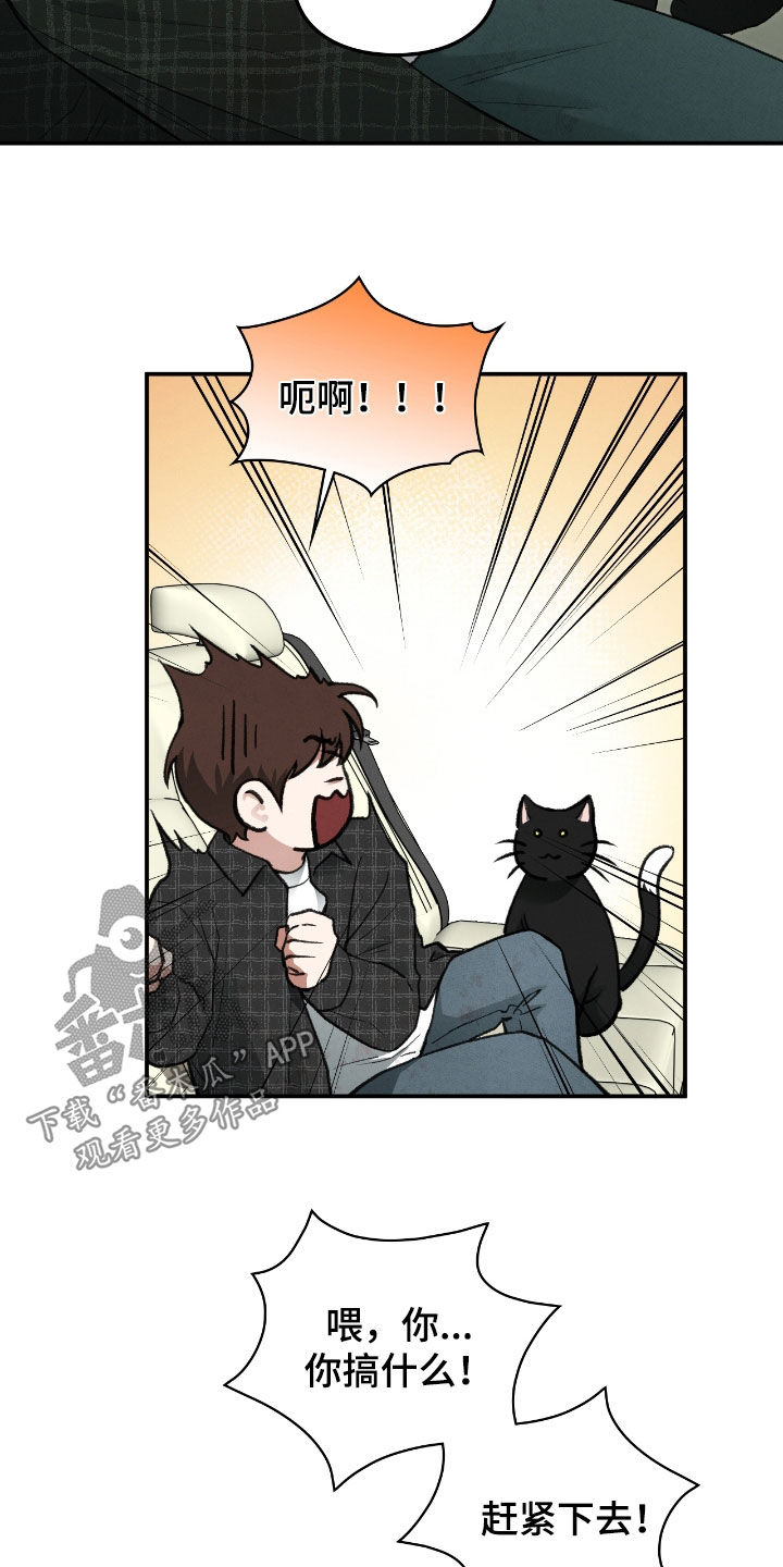 隔世契约漫画,第38章：要趁早2图