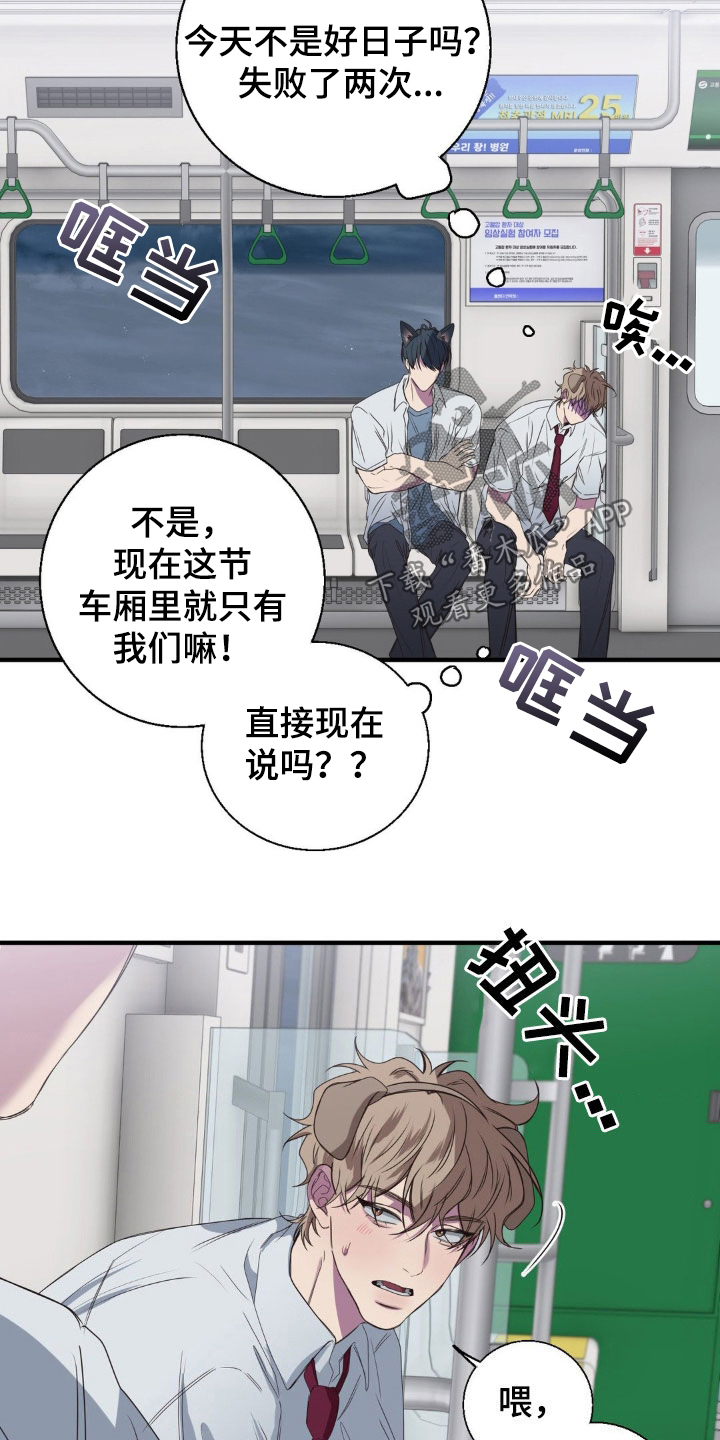 消极恋爱全集免费观看漫画,第52章：接连失败2图