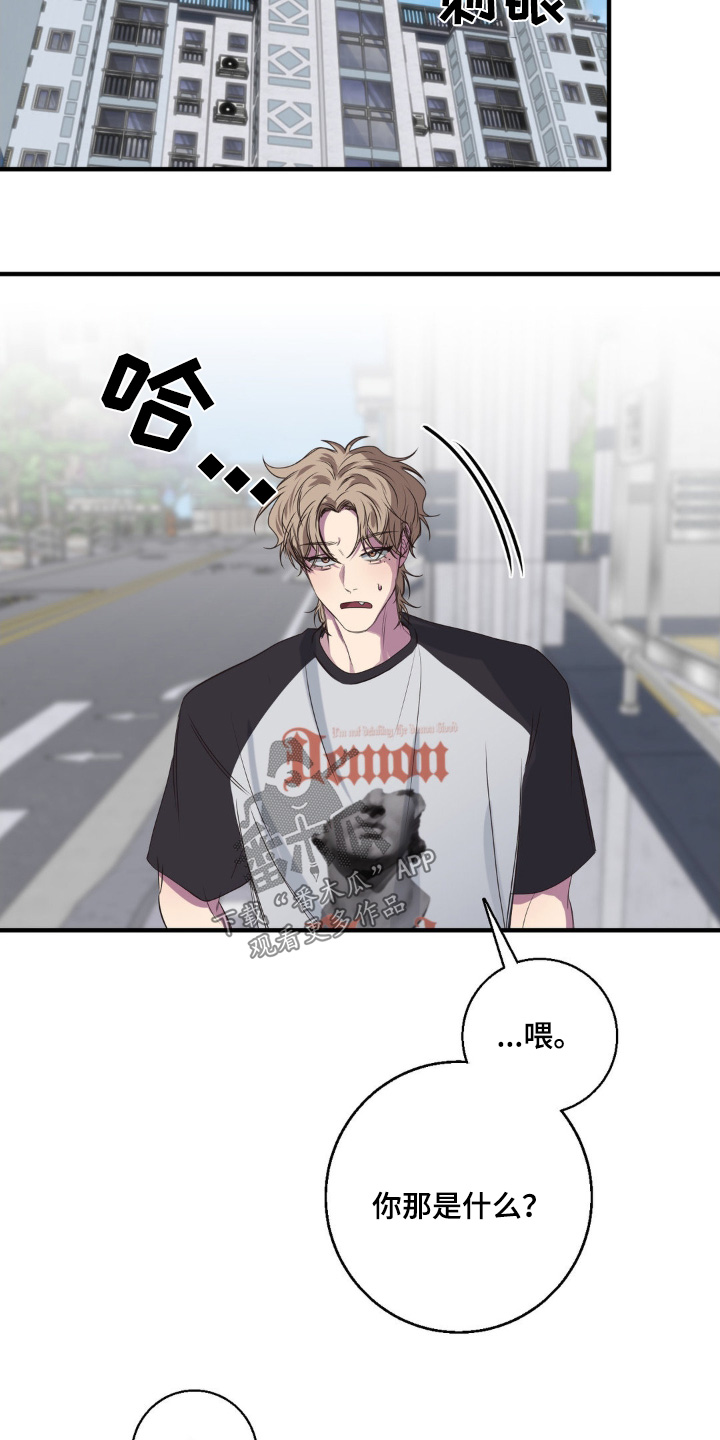 消极的恋爱什么时候更新漫画,第39章：一会见面3图