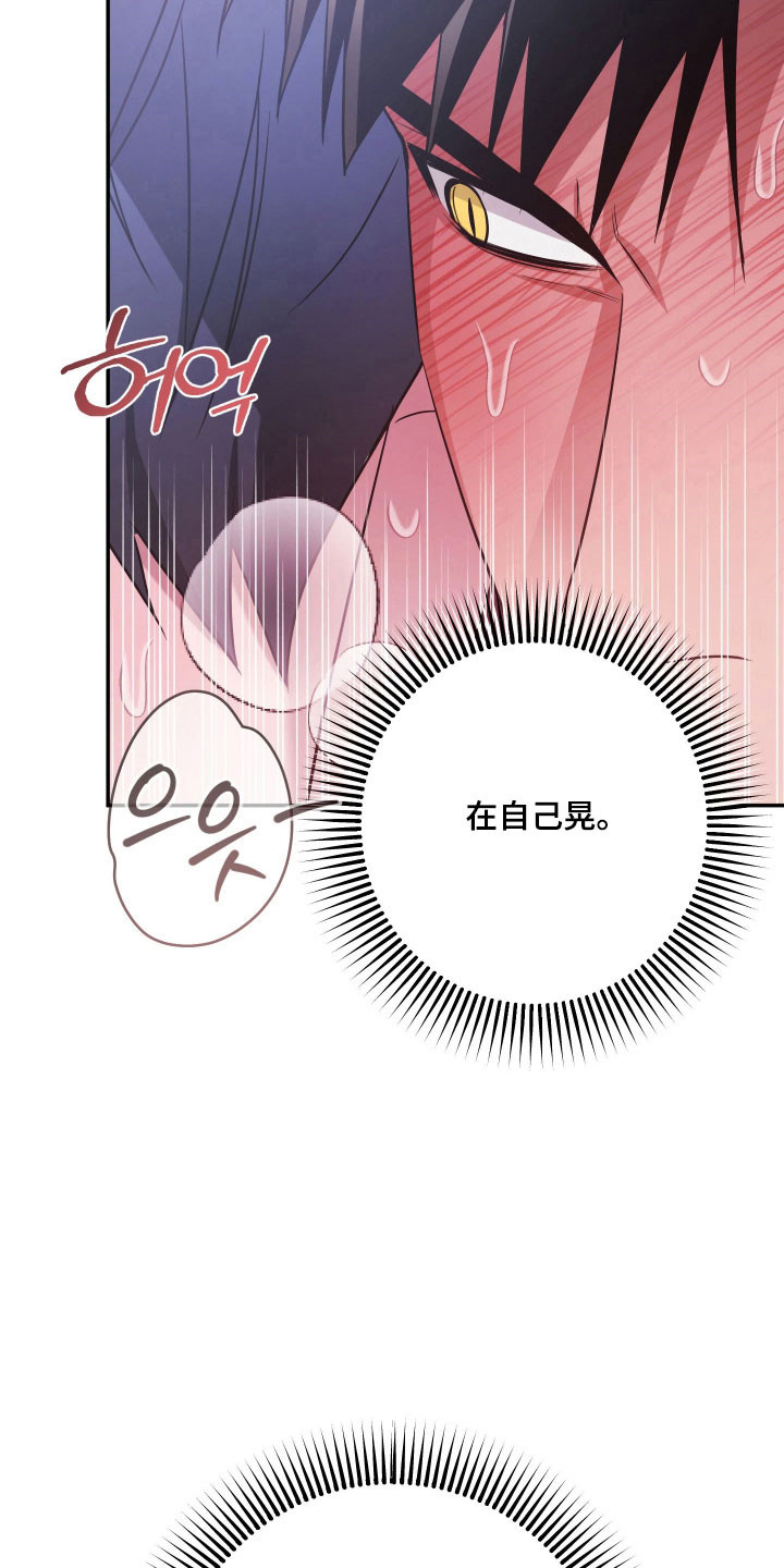 第17章：坚强面对3