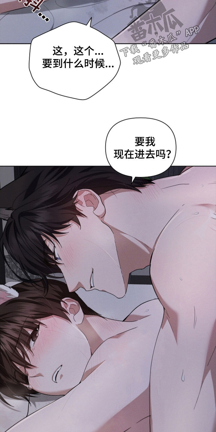 小白狗奇遇记漫画,第60章：成结1图