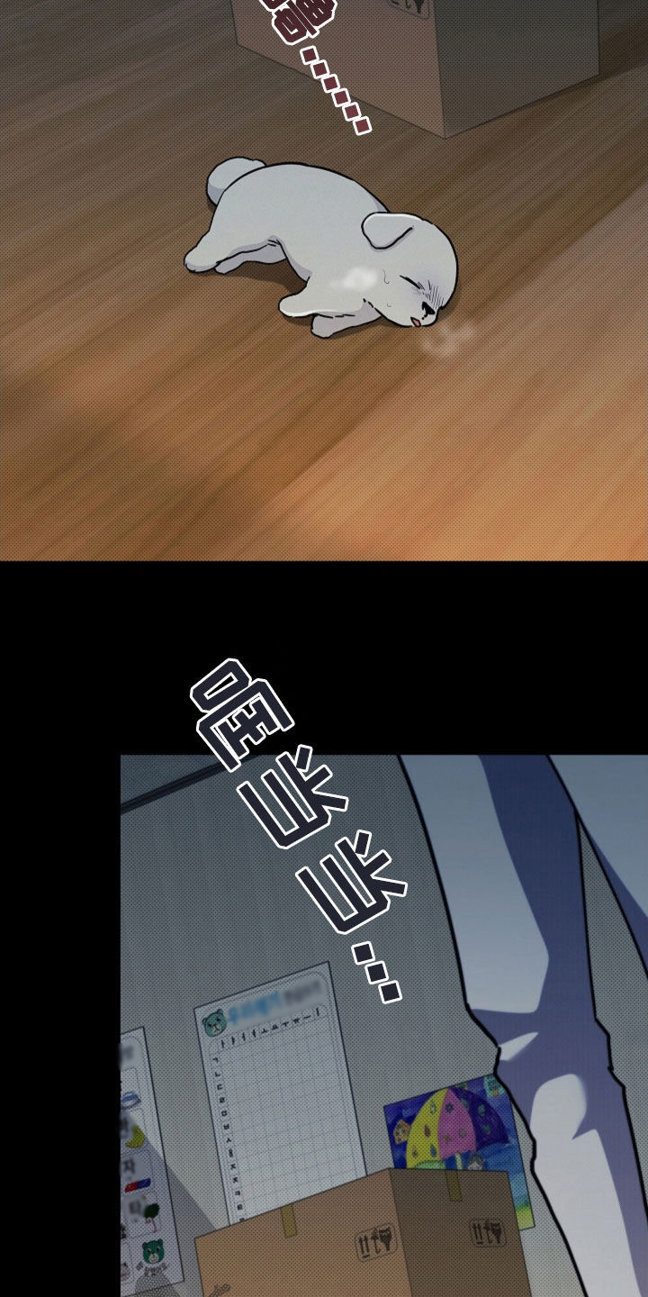 小白狗奇遇记漫画,第41章：体弱多病2图