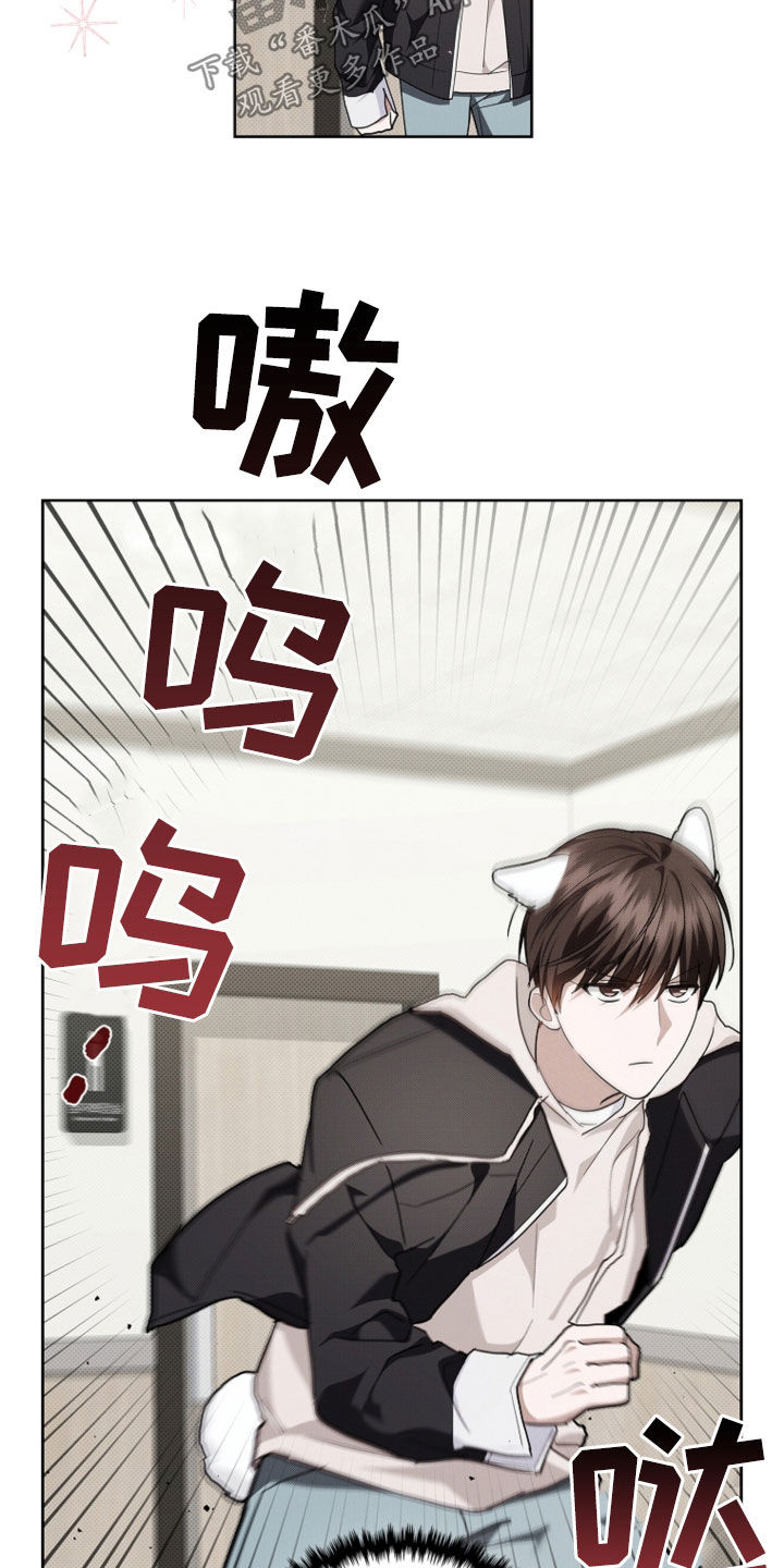 小白狗奇遇记漫画,第51章：我闯祸了3图