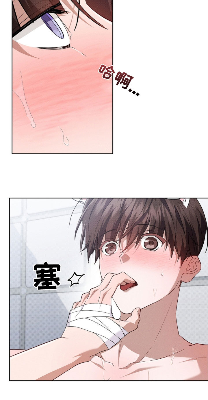 小白狗奇遇记漫画,第90章：【第二季】可以了4图