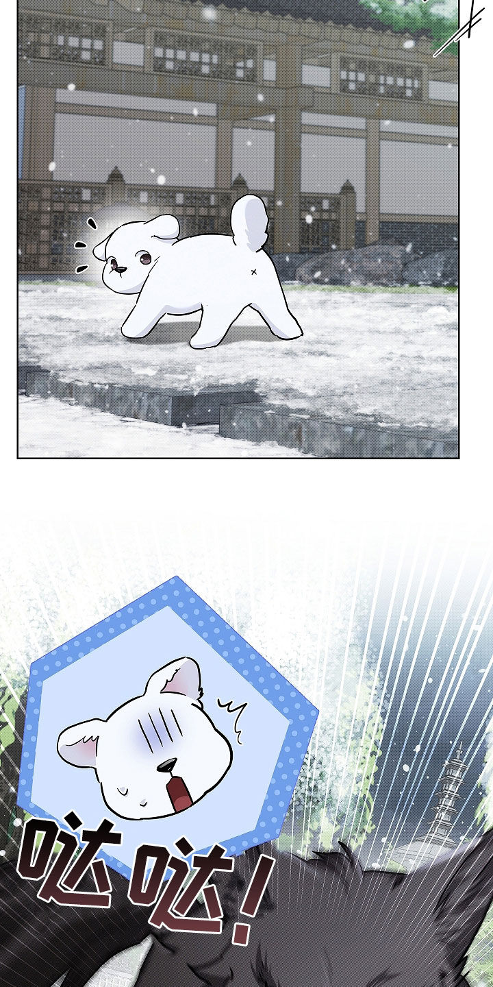 小白狗奇遇记漫画,第75章：【第二季】嬉戏2图