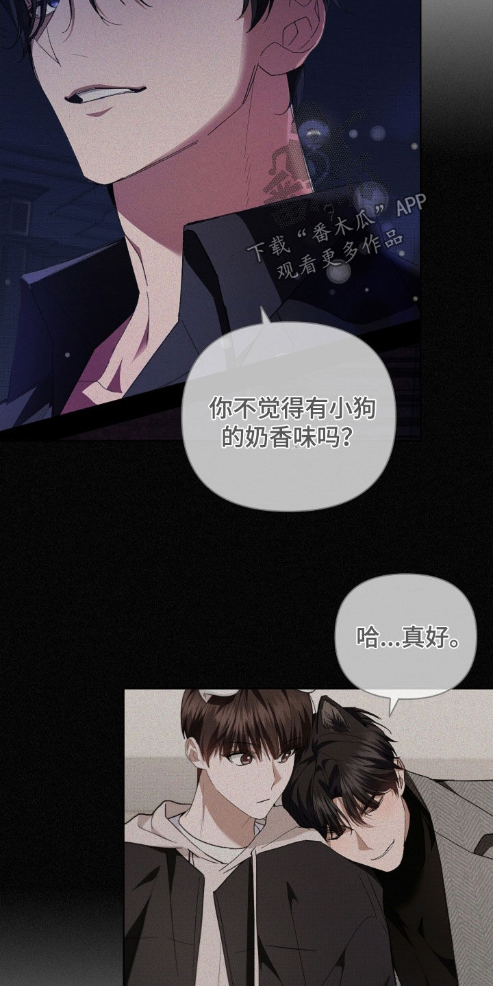 小白狗奇遇记漫画,第63章：命运的安排5图
