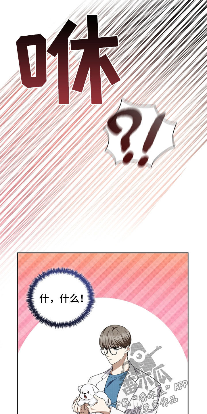 小白狗奇遇记漫画,第36章：打电话4图