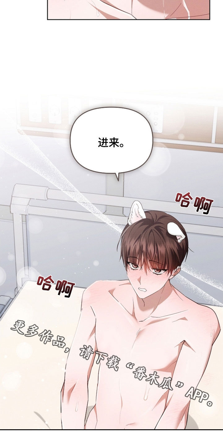 小白狗奇遇记漫画,第90章：【第二季】可以了4图