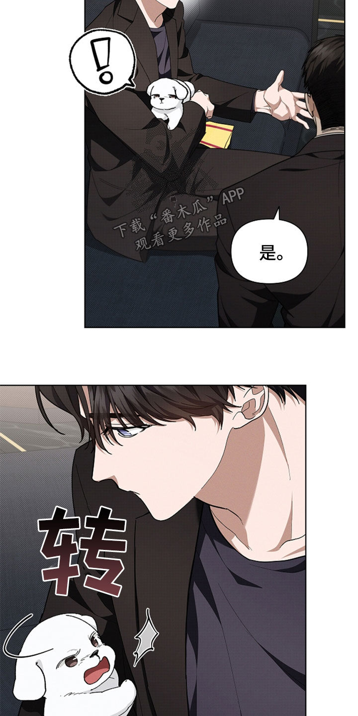 小白狗奇遇记漫画,第35章：你算什么东西5图