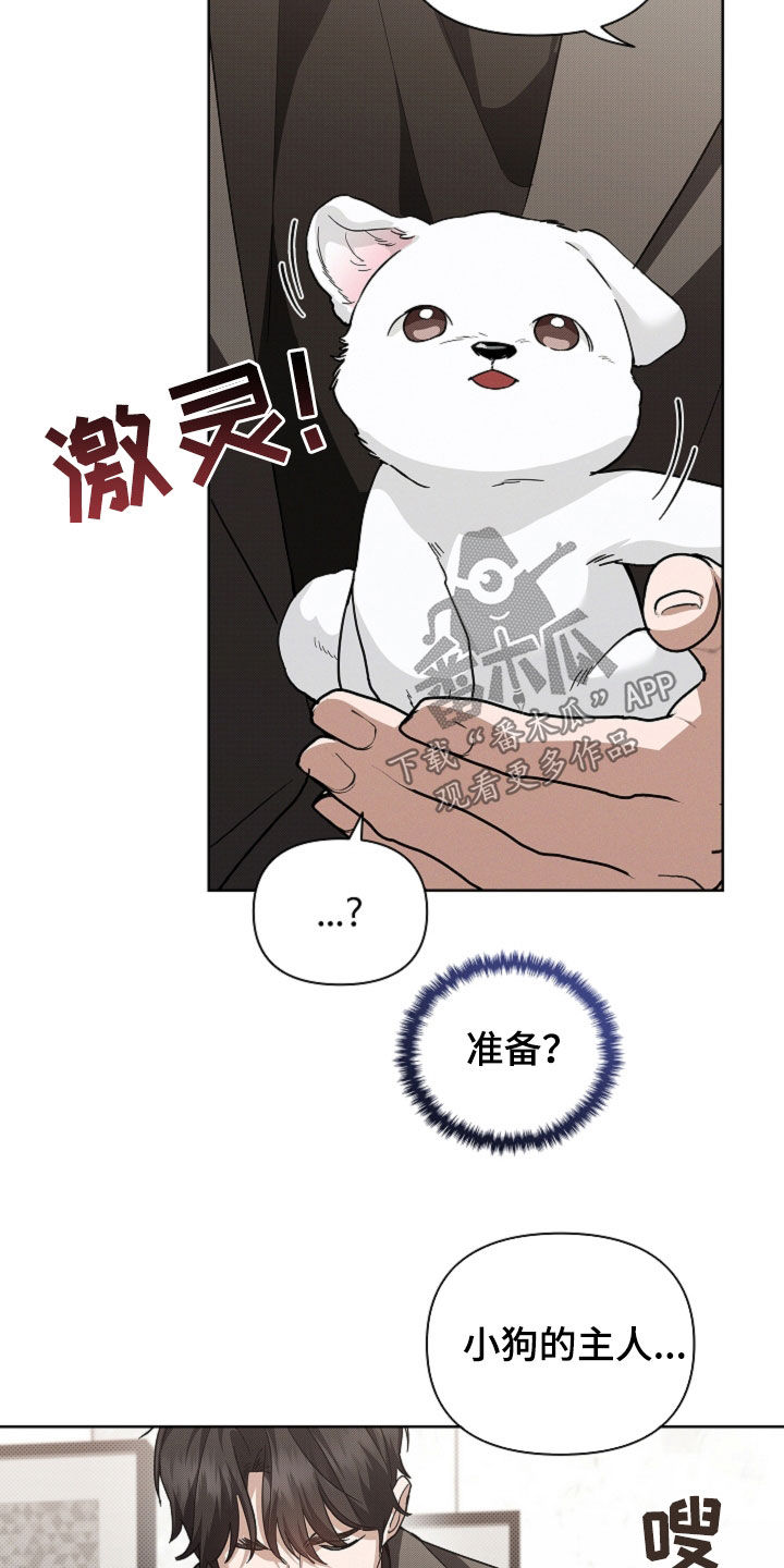 小白狗奇遇记漫画,第65章：做美容3图