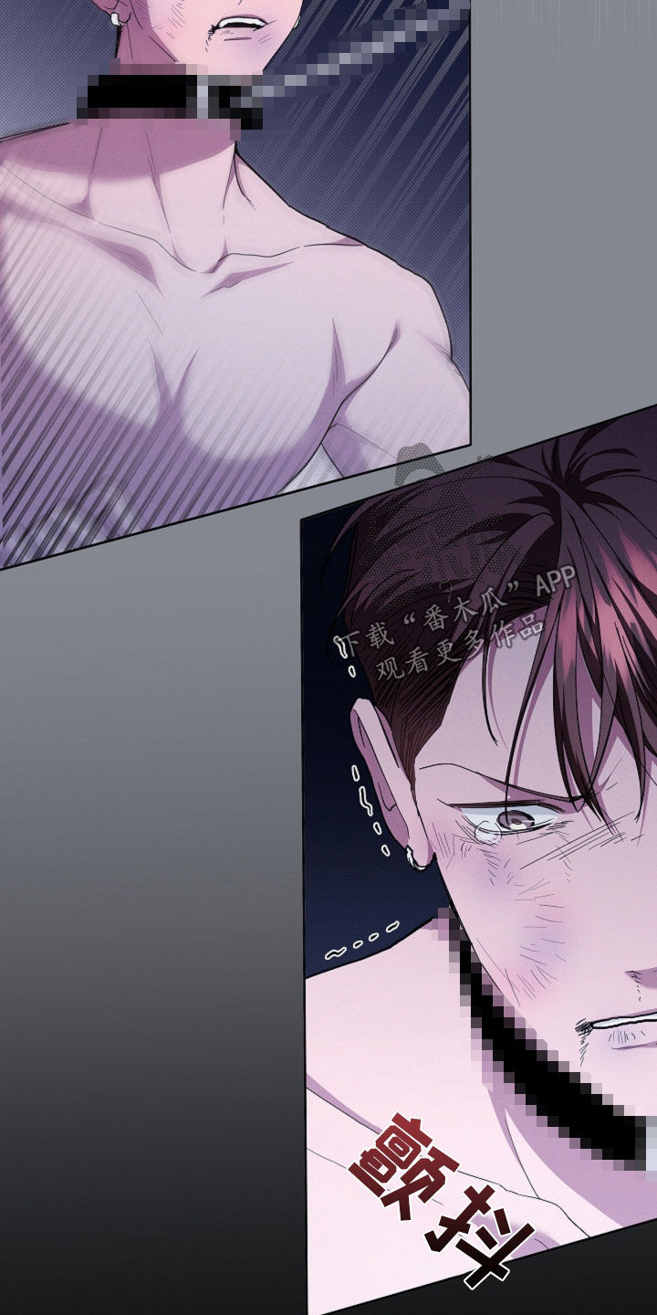 小白狗奇遇记漫画,第44章：大礼4图