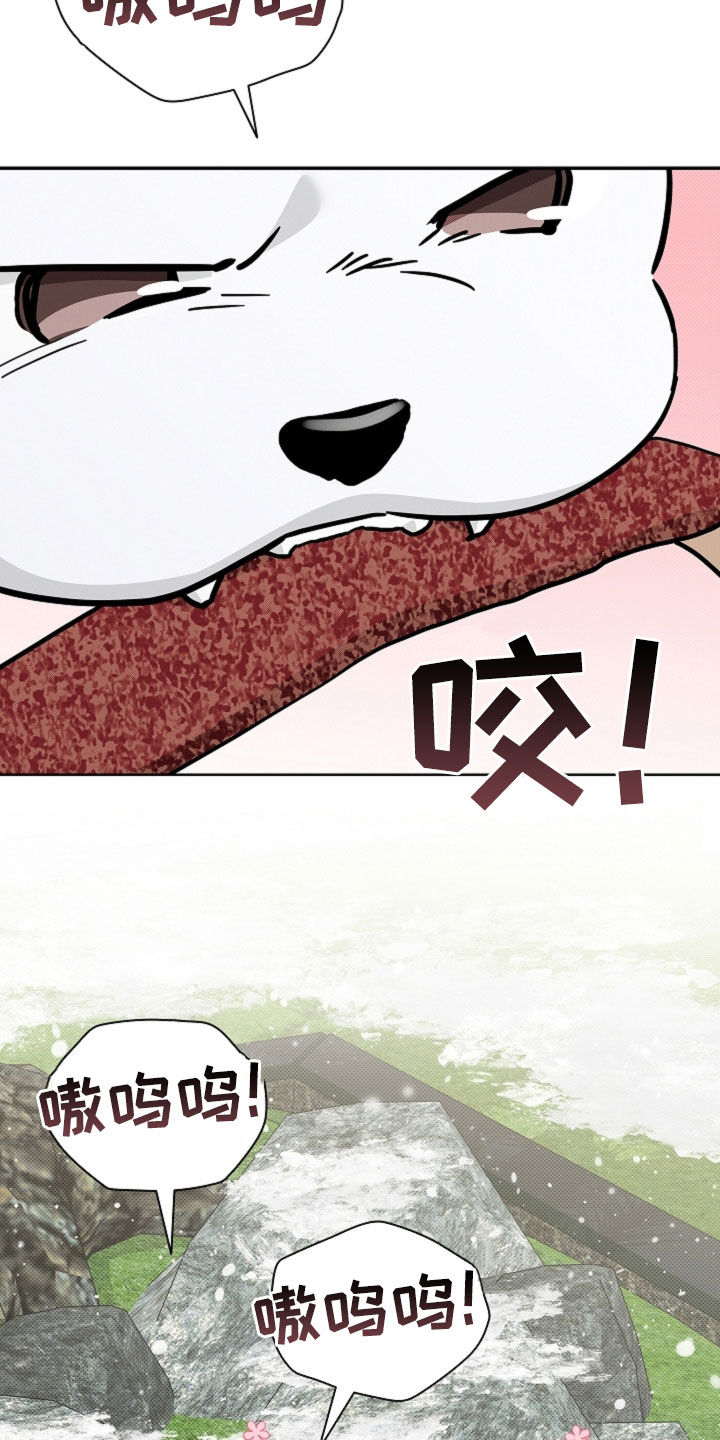 小白狗奇遇记漫画,第80章：【第二季】疯狼5图