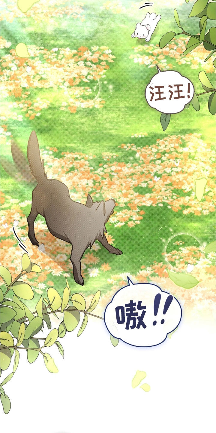 小白狗奇遇记漫画,第96章：【第二季完结】双向奔赴3图