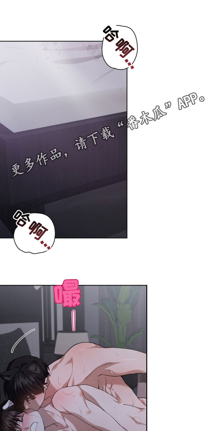 小白狗奇遇记漫画,第61章：真好看1图