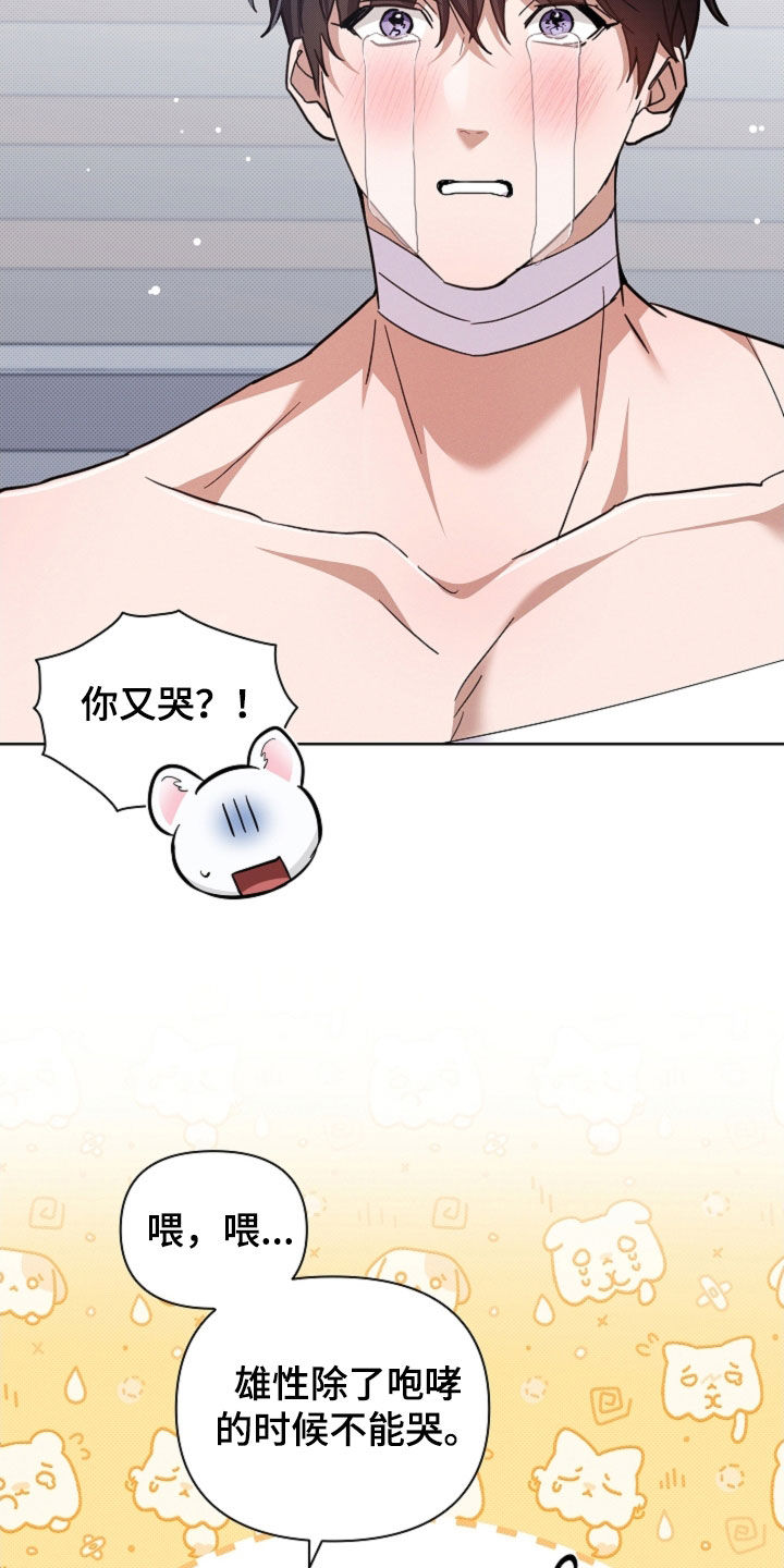 小白狗奇遇记漫画,第93章：【第二季】不能哭1图