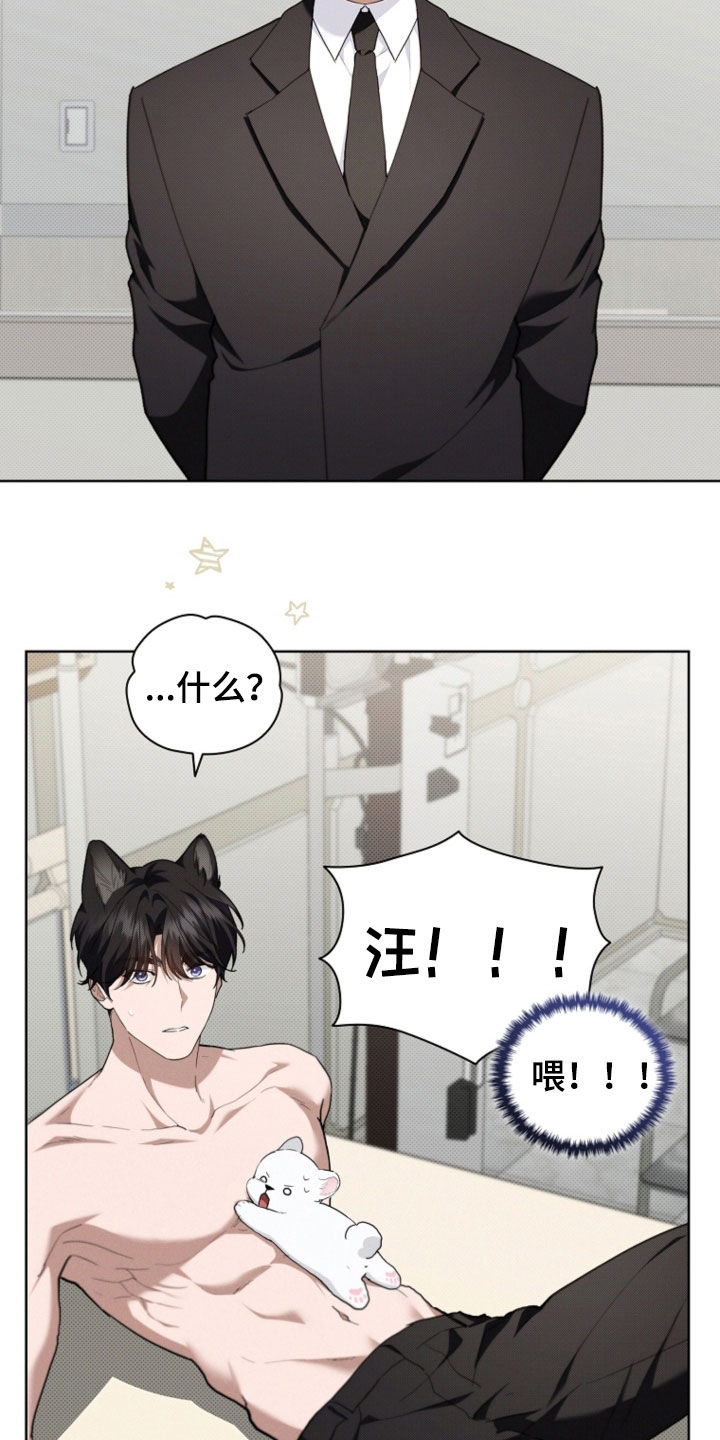 小白狗奇遇记漫画,第52章：真是个神经病5图
