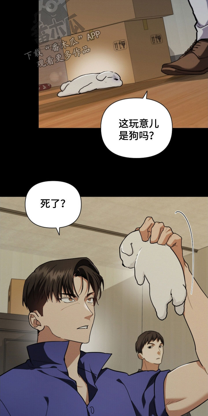 小白狗奇遇记漫画,第41章：体弱多病3图