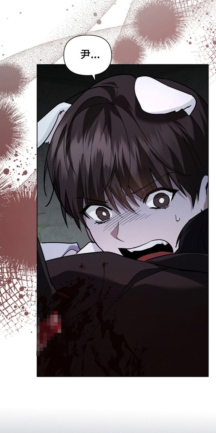 小白狗奇遇记漫画,第84章：【第二季】受伤3图