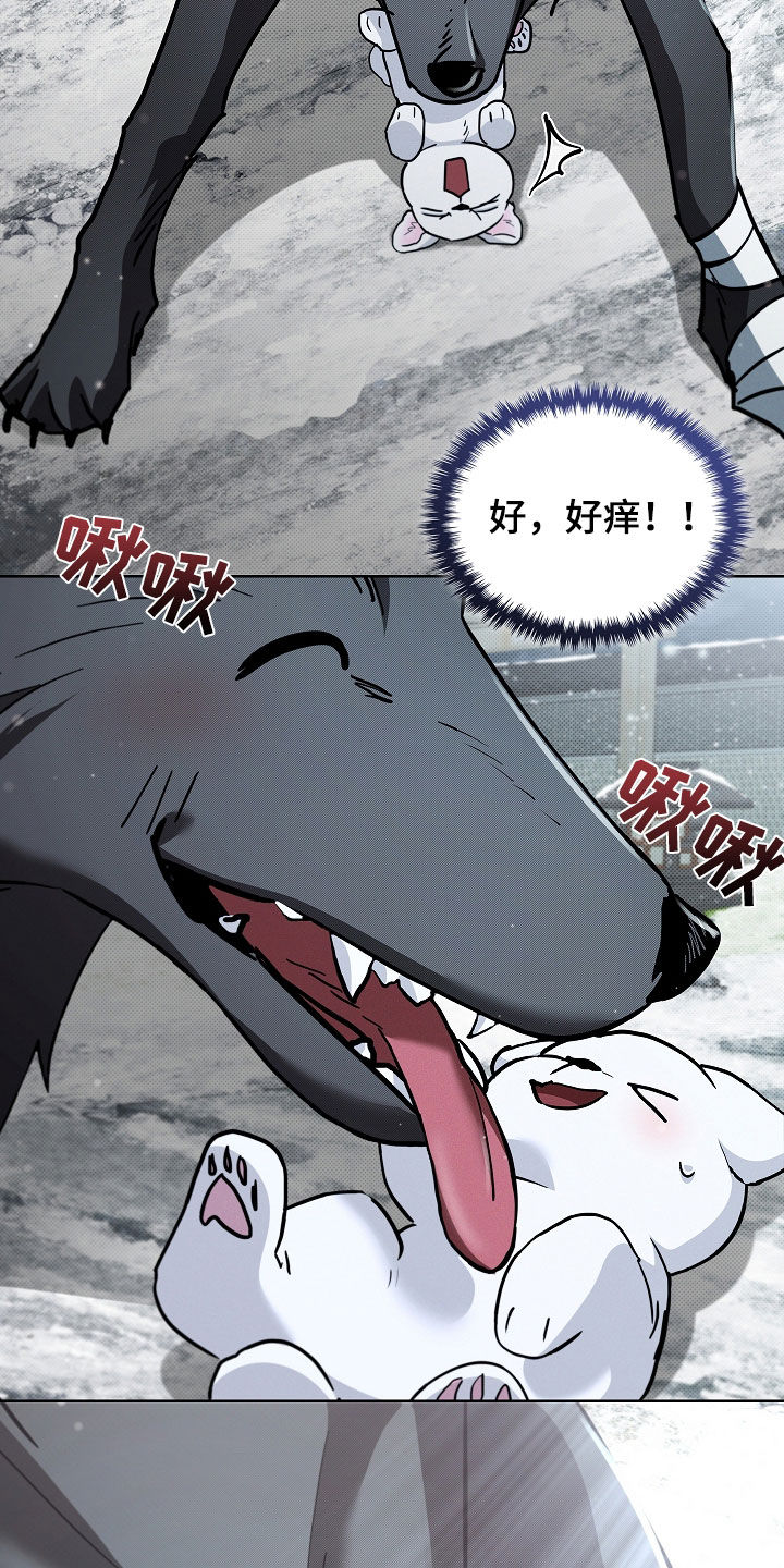小白狗奇遇记漫画,第75章：【第二季】嬉戏3图