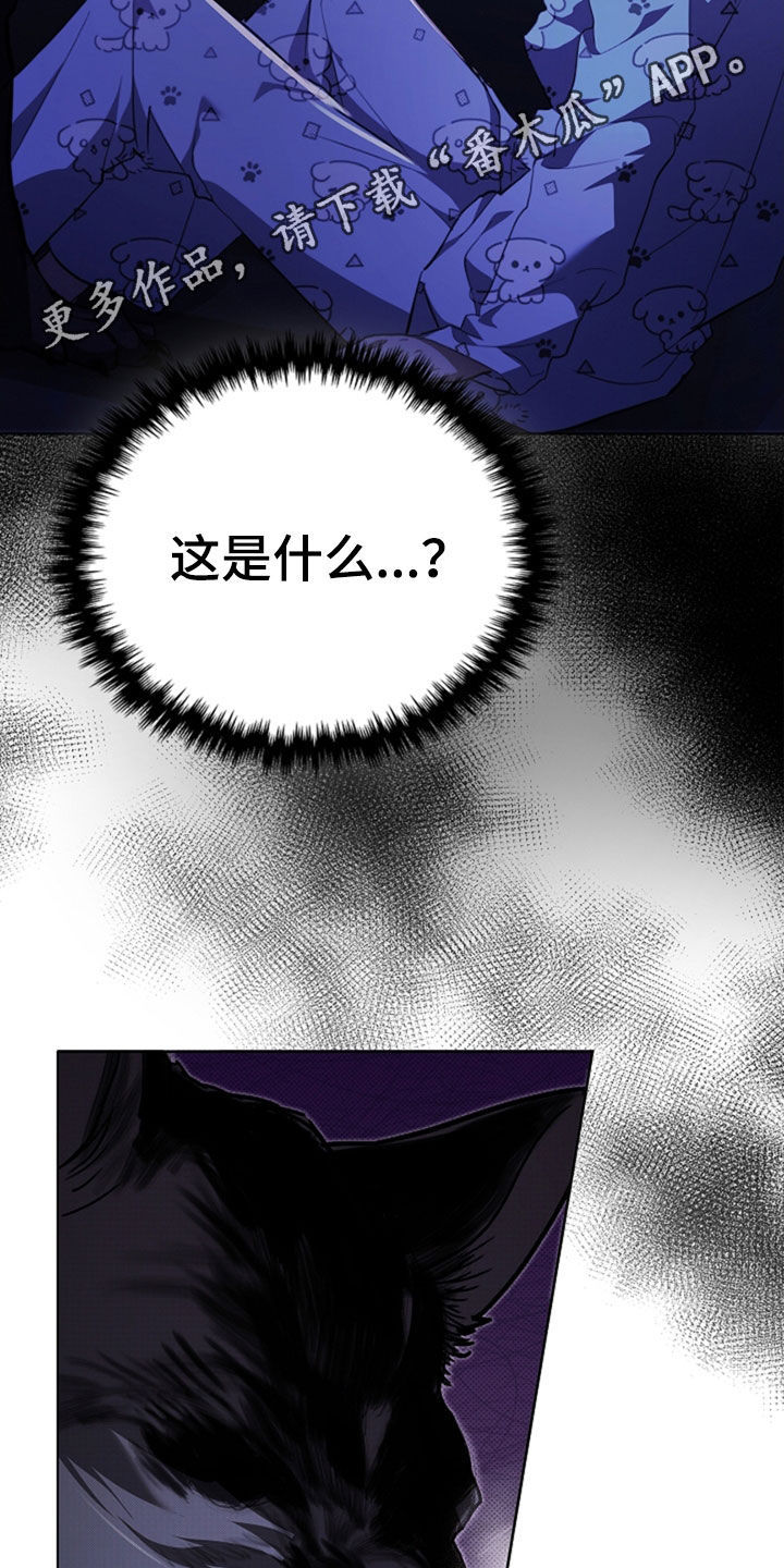 小白狗奇遇记漫画,第47章：他想攻击我2图