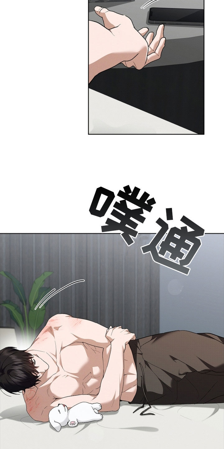 小白狗奇遇记漫画,第63章：命运的安排4图
