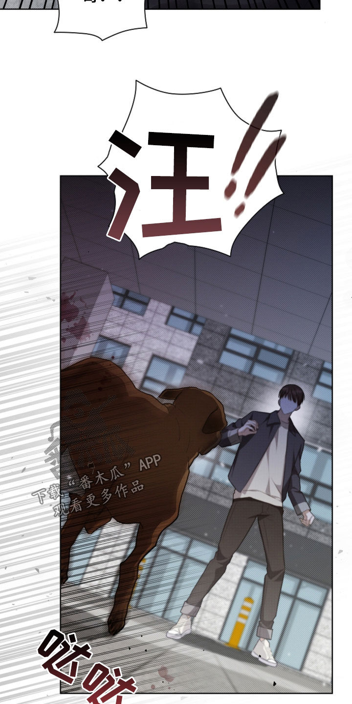 小白狗奇遇记漫画,第56章：叛徒4图