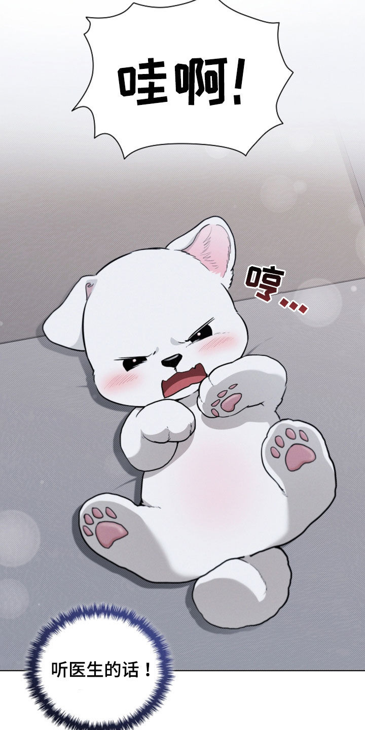 小白狗奇遇记漫画,第55章：雇佣4图