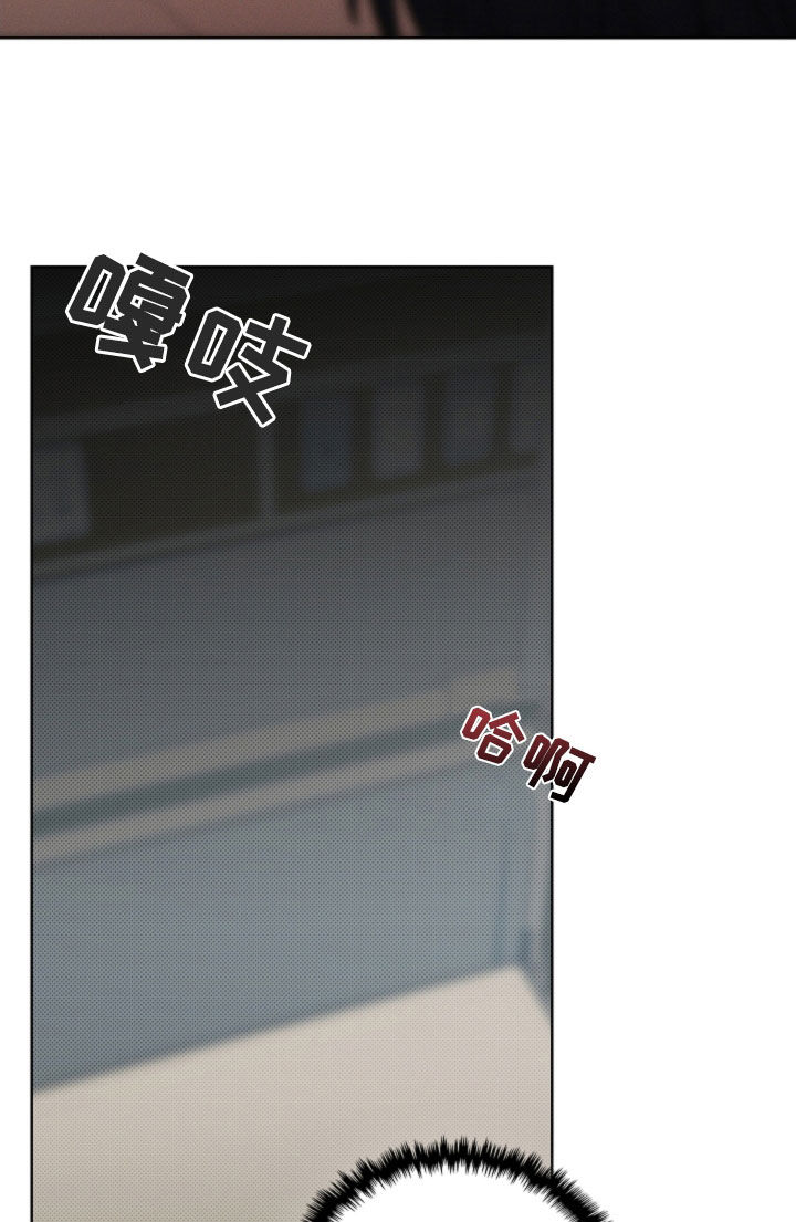 小白狗奇遇记漫画,第92章：【第二季】受伤1图