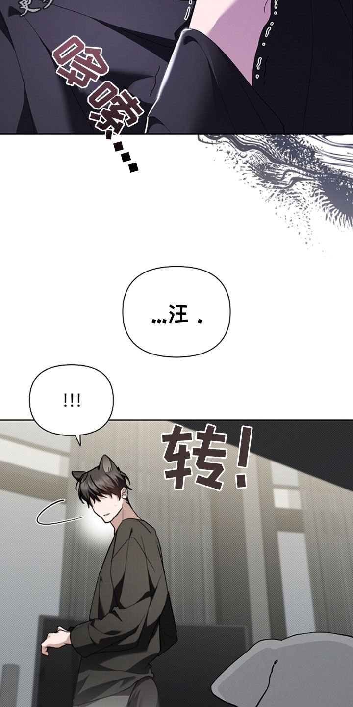 小白狗奇遇记漫画,第48章：去医院2图