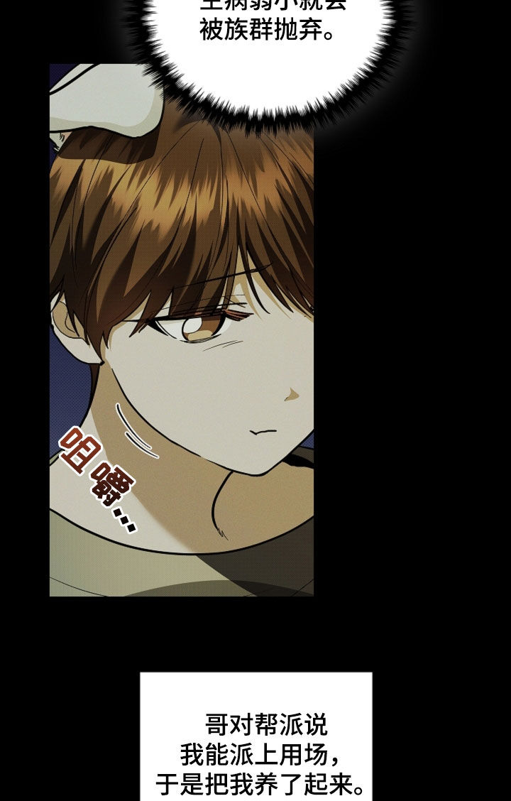 小白狗奇遇记漫画,第41章：体弱多病1图