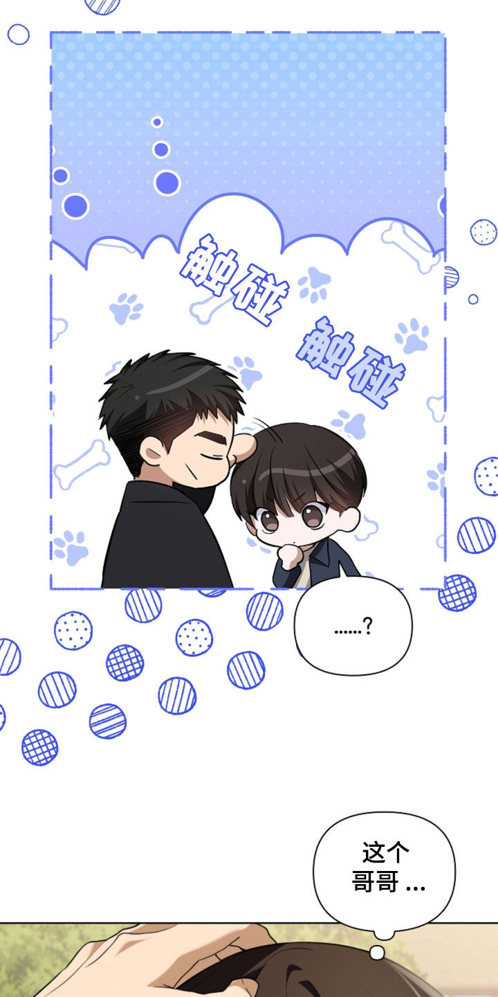 小白狗奇遇记漫画,第56章：叛徒2图